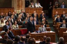 NGOs urge Tisza Party to stop using Fidesz's language on migration