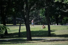 Teljesen közparkosítanák a Városligetet, és a Hősök terén is változások lesznek