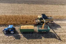 A Tisza a megengedőbb GMO-szabályozást támogatta az EP-ben, a hazai zöld szervezetek választ várnak a kormánytól