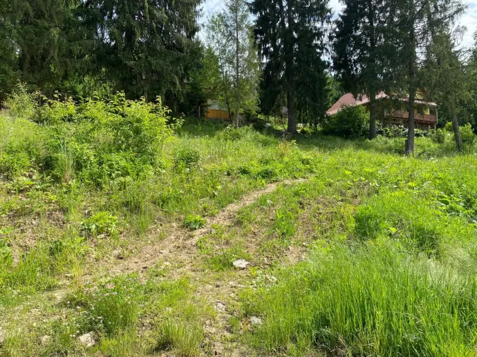 Az út hűlt helye. Az elmúlt években Homoródfürdő telkeit adták, vették, az ingatlanok tulajdonosai cserélődtek, úgy hírlik a Lobogó is kapott már felvásárlási ajánlatokat, közben a felső házak felé vezető utak jórészét lezárták, elbontották, lesorompózták az autós forgalom elől – Fotó: Tőkés Hunor / Transtelex 