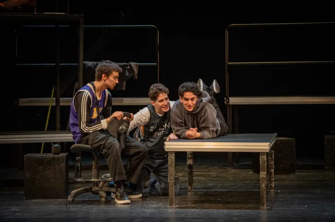 Hamlet (r. Vladimir Anton) – Fotó: Nagy Krisztina