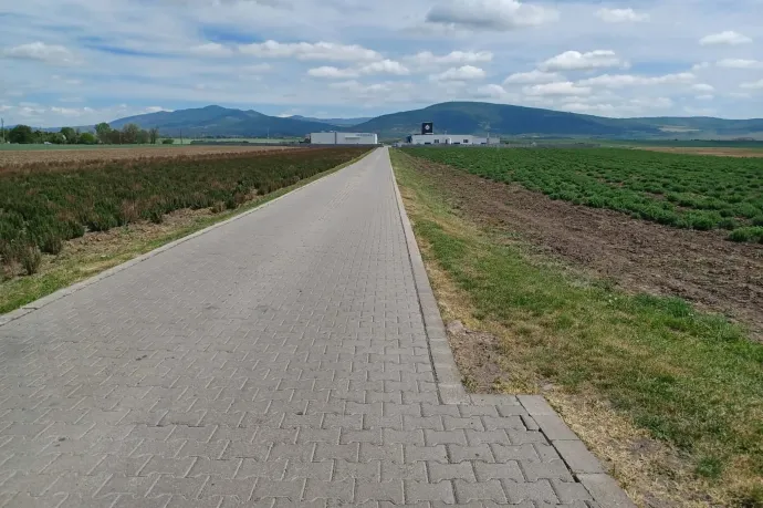 Olvasói fotó / Telex