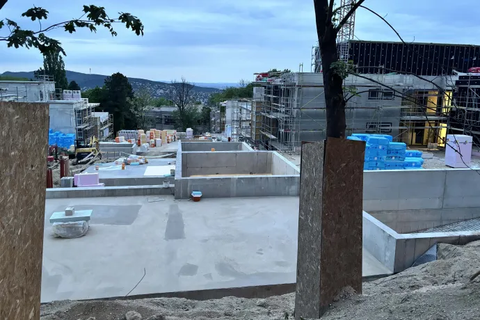 Olvasói fotó / Telex