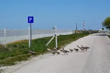 Megmutatjuk, hogyan önti el a beton az országot