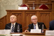 Polt levette Sulyok beadványát az Alkotmánybíróság napirendjéről