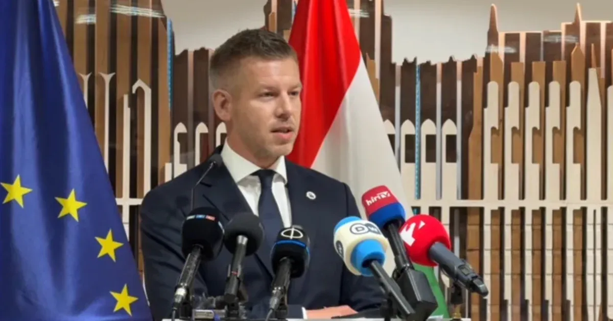 Magyar Péter: Fellázadt az alkotmánybíróság a köztársasági elnök ellen, itt a vége a történetnek