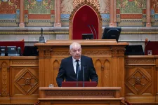 Sulyok Tamás a Politicónak azt mondta, küzdeni fog, hogy köztársasági elnök maradhasson
