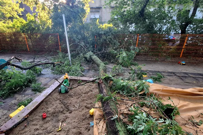 Budapesten fákat döntött, Debrecenben villámárvizet hozott a vihar