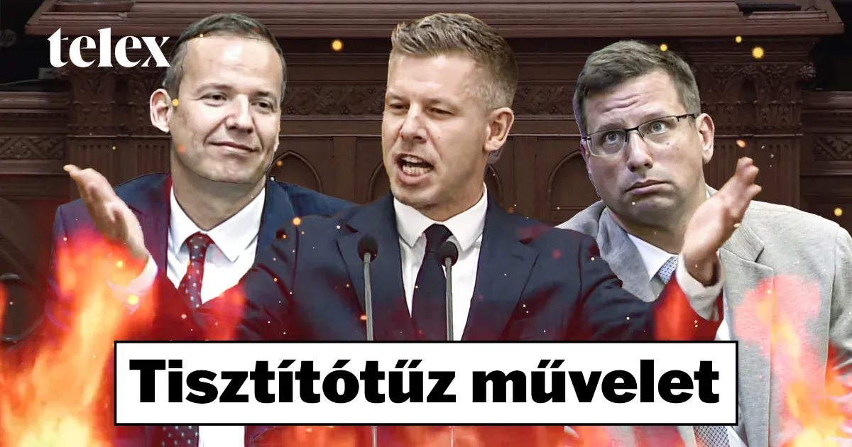 Tisztítótűz művelet: A politikai és gazdasági maffia leküzdése Magyarországon
