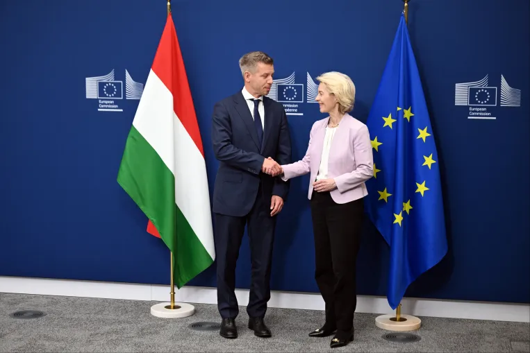 Az EU-s pénzek fejében börtönbe zárnák a vagyonukról szándékosan hazudókat és kivezetik a kekvákat