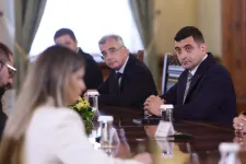Simion Cotroceniben az AUR tisztára mosásán dolgozhatott, miközben nyilvánosan saját miniszterelnököt követel