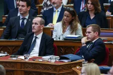 Az OEP veszi át az egyedi gyógyszerkérelmeket elbíráló Batthyány-Strattmann alapítvány feladatait