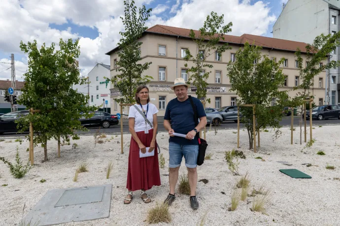 Wendl Viktória, a Fővárosi Önkormányzat zöldinfrastruktúra-fejlesztési csoportjának munkatársa és Bardóczi Sándor, Budapest főtájépítésze mutatta be a közelmúltban megvalósult projekteket – Fotó: Bődey János / Telex