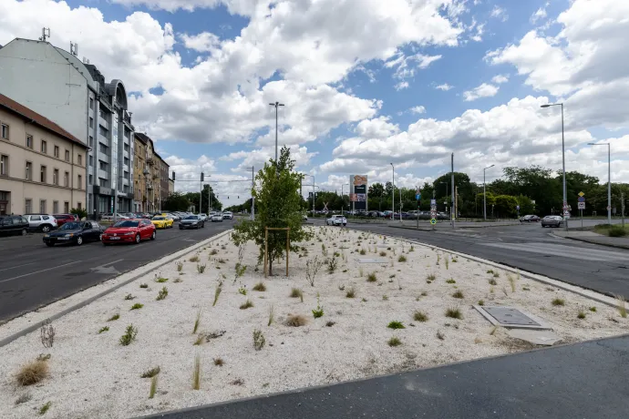 Beton alól felszabadított sziget a Fogarasi és a Kerepesi út találkozásánál – Fotó: Bődey János / Telex