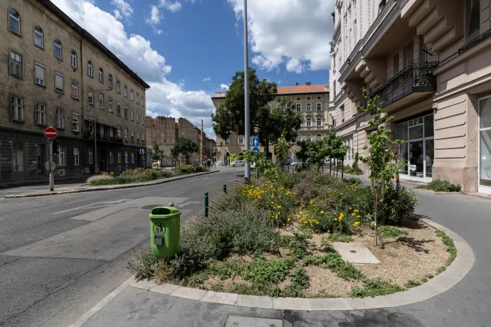 Fotó: Bődey János / Telex