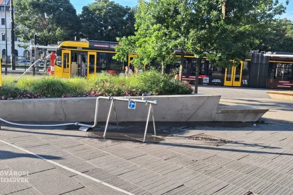 Blurred placeholder