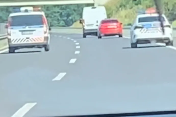 Száguldva menekült a rendőrök elől a teherautót elkötő 15 éves, végül egy szántón fogták el az M3-asnál