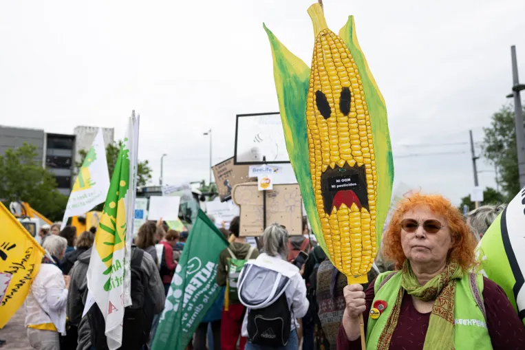 A jó, a rossz és a csúf GMO