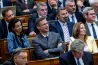 „Valaki átszavazott! Gergő, te voltál?” – ami a parlamenti közvetítésből kimaradt