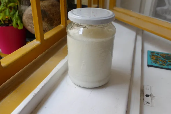 Ahol 32–40 fok van, ott szeret érni a joghurt – Fotó: Ács Bori / Telex