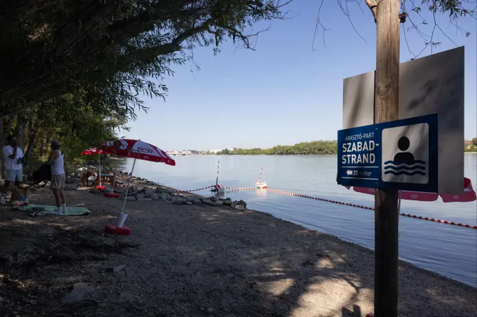Szabadstrandi minifesztivál, írók-költők a Balatonon és csillagfényes kertmozi