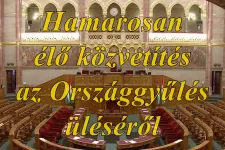 A nyár YouTube-slágere: a parlamenti élő közvetítés