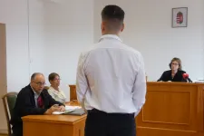 Már a tragikus baleset napján is szabálytalankodott: a győri Aston Martin-os gázoló a bíróságon azt állította, nem tudja, miért adott gázt