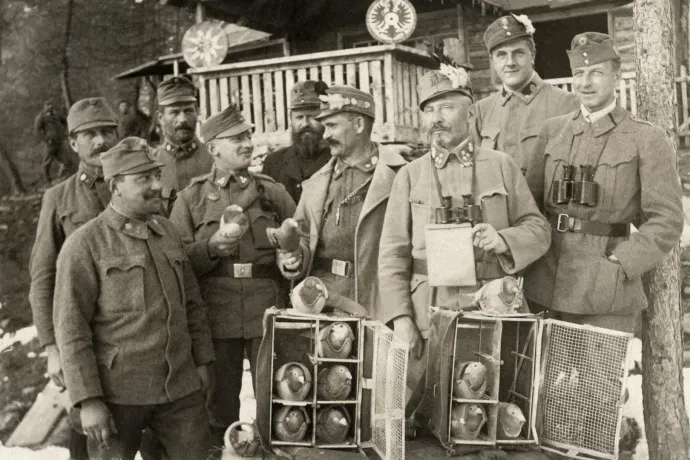 Mellkason lőtték és leszakadt a lába, mégis 194 katona életét mentette meg egy postagalamb