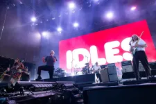 A punkzene újkori hősei még a brit zászlót is kikérik maguknak
