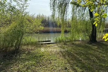 A megdrágult Balatontól menekülők átalakították a dél-alföldi vízpartok lakáspiacát