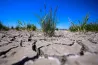 Szia, Tisza-kormány! Klímatörvény érdekel?