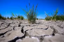 Szia, Tisza-kormány! Klímatörvény érdekel?