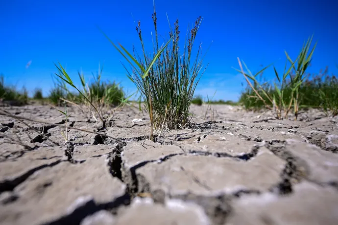 Szia, Tisza-kormány! Klímatörvény érdekel?