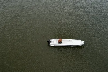 Már nem olyan szőke a Tisza, és ez a kérészek sorsát is befolyásolhatja