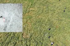 24 órás hajtóvadászat után fogták el az igazoltató rendőrt elgázoló férfit