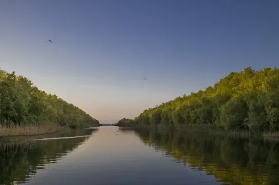 Kissé megnő a Duna vízhozama, majd szeptember elején megint csökkenni fog