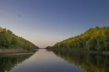 A júliusi sokéves átlag harmadára csökkenhet a Duna vízhozama