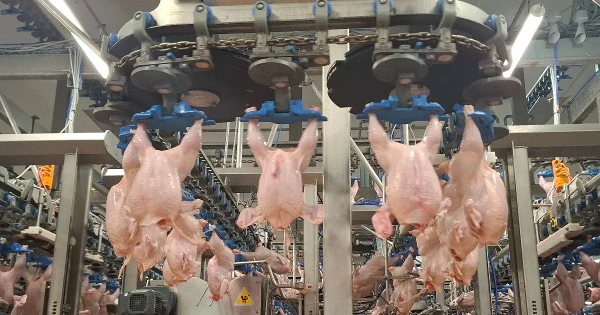 A vendégmunkások korlátozása: Zűrzavar a magyar iparban és gazdasági kihívások