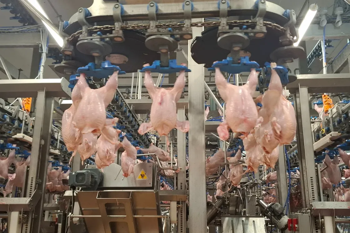 A vendégmunkásvita a magyar ipar egyik érzékeny pontját találta el