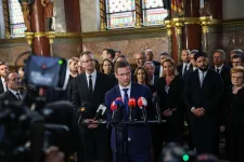 Fidesz parliamentary group leader resigns his post