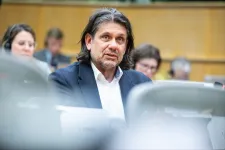 Brüsszelben panaszkodik alkotmányos puccsra nagyjából ötven fideszes és más EP-képviselő