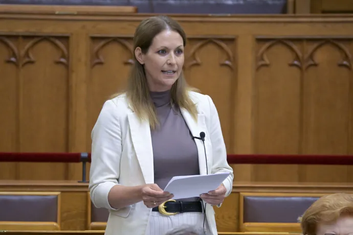 Molnárné Lezsák Anna, a Fidesz képviselője felszólal a Magyarország Alaptörvényének tizenhetedik módosításáról szóló törvényjavaslat vitájában, az Országgyűlés rendkívüli ülésén, 2026. július 7-én – Fotó: Szigetváry Zsolt / MTI
