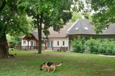 Mi történik az alföldi várossal, ha a világ egyik legnagyobb gyára épül fel benne?
