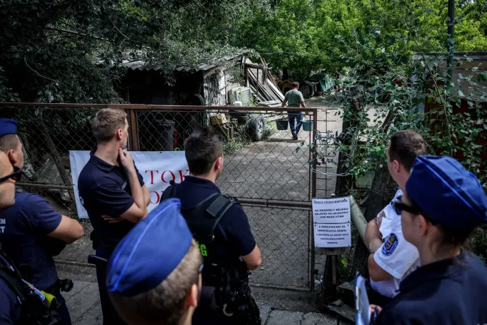 Húsz év után sikerült kilakoltatni az illegális gazdálkodót, aki 16 hektárnyi természetvédelmi területet bitorolt el, majd lekaszálta a ritka szöcskék élőhelyét