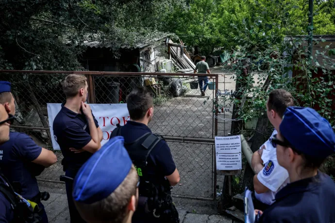 Húsz év után sikerült kilakoltatni az illegális gazdálkodót, aki 16 hektárnyi természetvédelmi területet bitorolt el, majd lekaszálta a ritka szöcskék élőhelyét