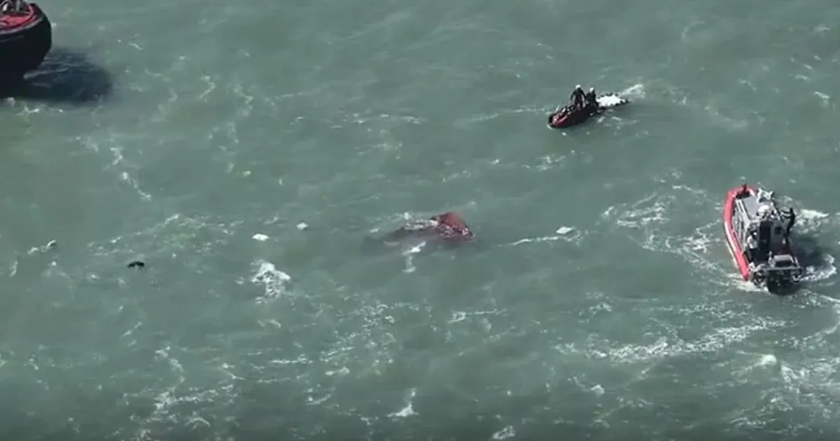 Tragédia San Franciscóban: Pontonhajó süllyedése, egy halott és három eltűnt Tragédia San Franciscóban: Pontonhajó süllyedése, egy halott és három eltűnt