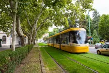 Gyorsabban pusztulnak a szegedi fák, mint ahogy pótolni lehet őket