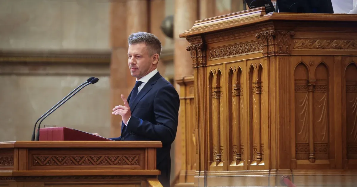 „Jogvédők: A köztársasági elnök választása nem lehet kapkodós”