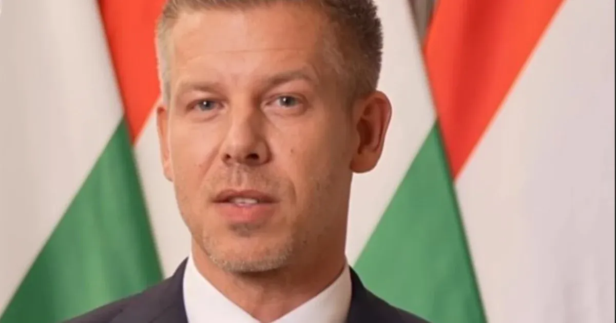 Polgár Judit visszautasította a köztársasági elnöki jelölést, Magyar Péter reagált Polgár Judit visszautasította a köztársasági elnöki jelölést, Magyar Péter reagált