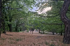 Egyelőre nem tér vissza a kánikula